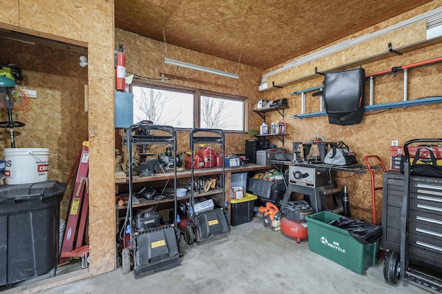 3529 E Lemon Creek Rd, Berrien Springs, MI 49103 - view of storage