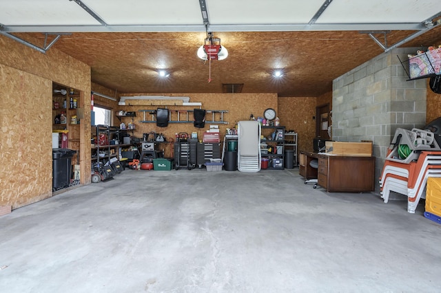 3529 E Lemon Creek Rd, Berrien Springs, MI 49103 - garage featuring a garage door opener and a workshop area