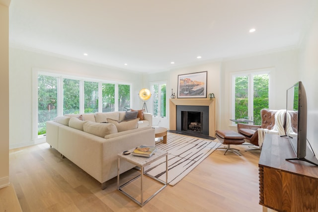 living area featuring light wood-style flooring, crown molding, recessed lighting, and a fireplace with flush hearth