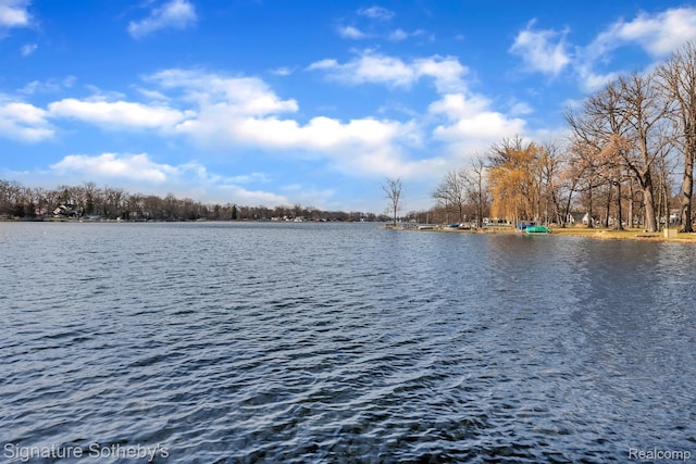 1717 S Hughes Rd, Brighton, MI 48114