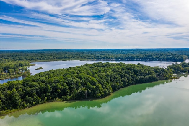 drone / aerial view with a water view and a wooded view