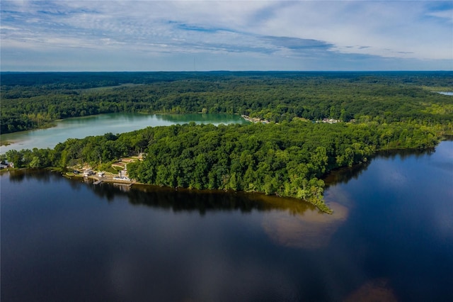 birds eye view of property featuring a view of trees and a water view