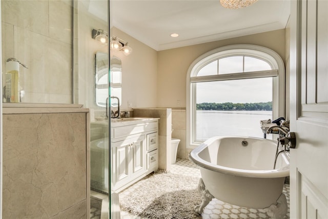 bathroom with tile walls, a tile shower, vanity, and a wealth of natural light