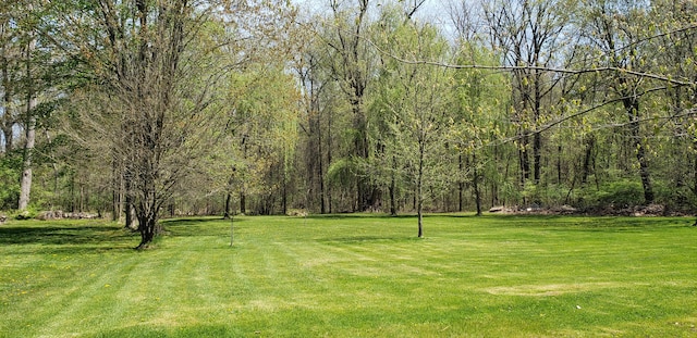 view of yard featuring a forest view