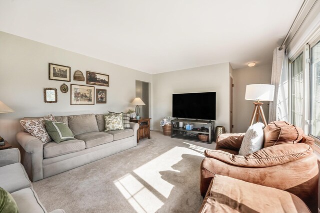 view of carpeted living area