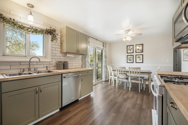 kitchen with ceiling fan, appliances with stainless steel finishes, a sink, gray cabinets, and butcher block counters