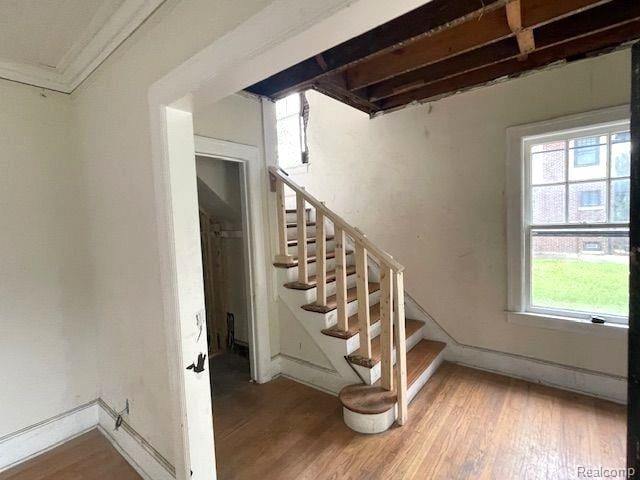 1485 Longfellow St, Detroit, MI 48206 - stairs featuring wood finished floors