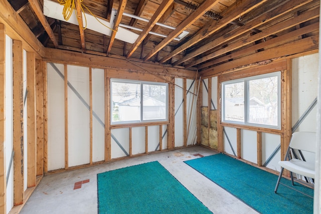 miscellaneous room featuring plenty of natural light