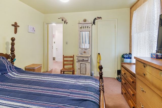 11718 Wayburn St, Detroit, MI 48224 - bedroom featuring light carpet