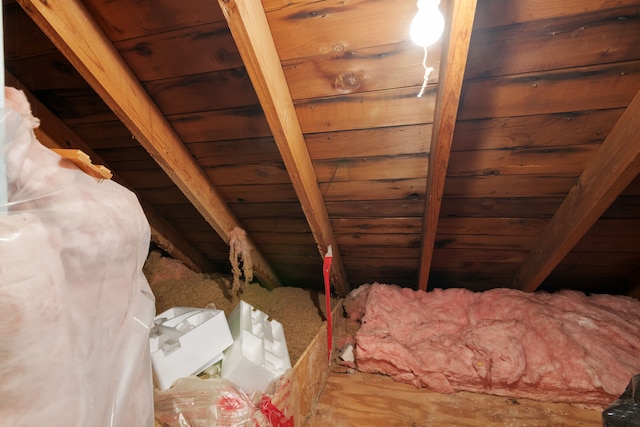 11718 Wayburn St, Detroit, MI 48224 - view of unfinished attic