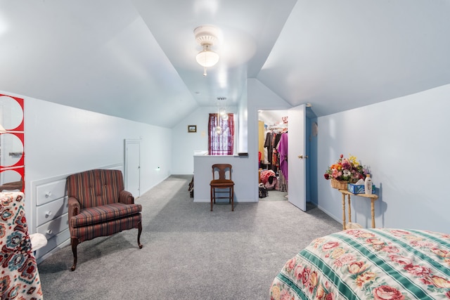 11718 Wayburn St, Detroit, MI 48224 - bedroom with carpet floors, lofted ceiling, a spacious closet, and a closet