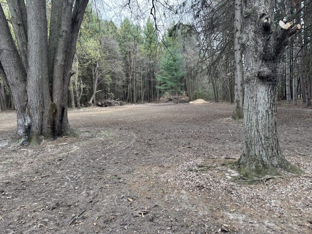8854 E Pickard Rd, Mount Pleasant, MI 48858 - view of landscape featuring a forest view