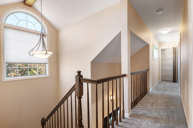 6360 Robison Ln, Saline, MI 48176 - stairway with plenty of natural light, baseboards, carpet floors, and vaulted ceiling