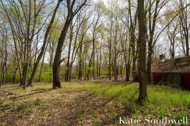 view of yard featuring a view of trees