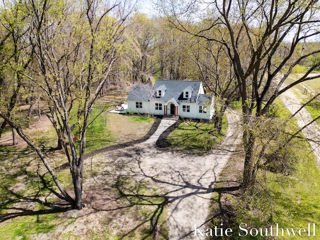 drone / aerial view