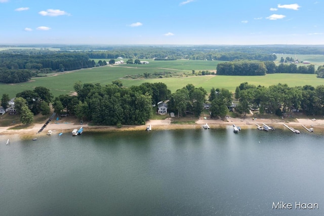 13545 Armitage Dr, Coral, MI 49322 - bird's eye view of a large body of water