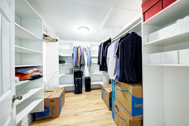 walk in closet featuring wood finished floors