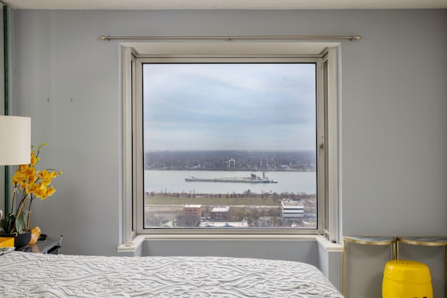 bedroom featuring a water view and multiple windows
