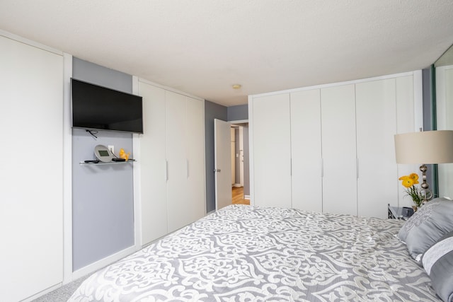 carpeted bedroom with multiple closets