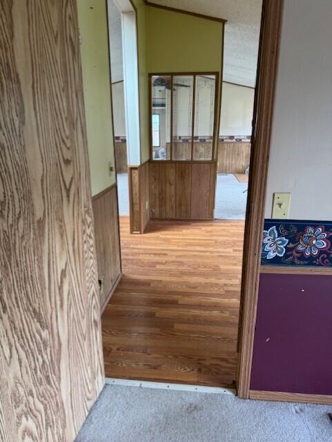 6201 N Lakeshore Rd, Deckerville, MI 48427 - hall with wooden walls, wainscoting, wood finished floors, and carpet floors