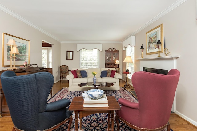 living area featuring baseboards, ornamental molding, wood finished floors, and a fireplace