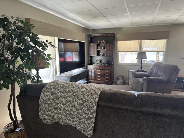 carpeted living room with a drop ceiling