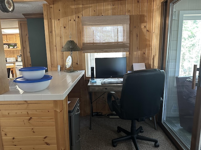 office featuring carpet floors and wood walls