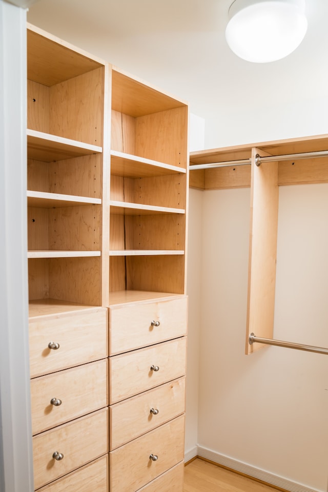 1151 Abseguami Trl, Lake Orion, MI 48362 - spacious closet with light wood-type flooring