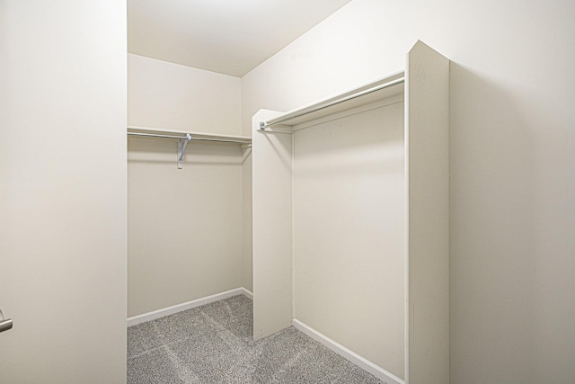 spacious closet with carpet flooring