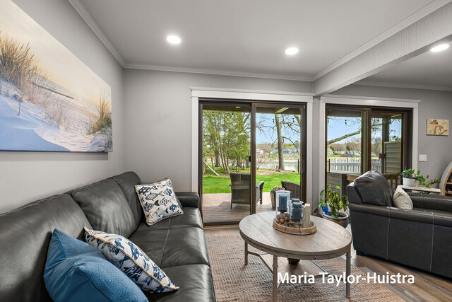 living room featuring ornamental molding, recessed lighting, and wood finished floors
