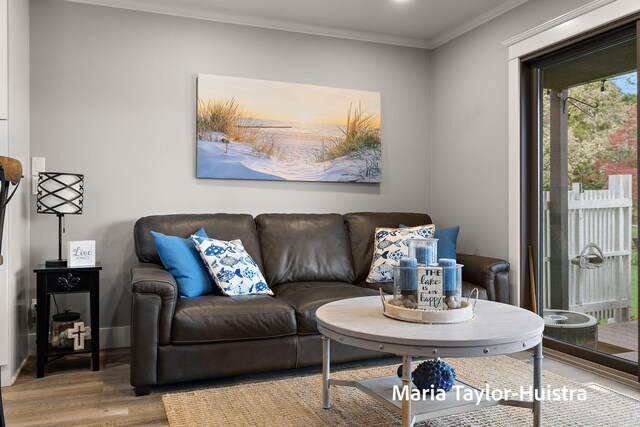 living area featuring crown molding and wood finished floors
