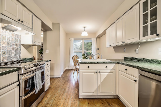 2204 Rivenoak Ct, Ann Arbor, MI 48103 - kitchen with appliances with stainless steel finishes, dark countertops, a sink, under cabinet range hood, and dark wood-type flooring