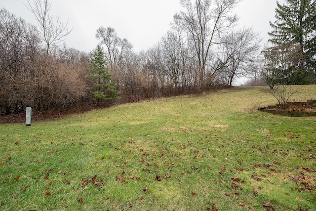 2204 Rivenoak Ct, Ann Arbor, MI 48103 - view of yard