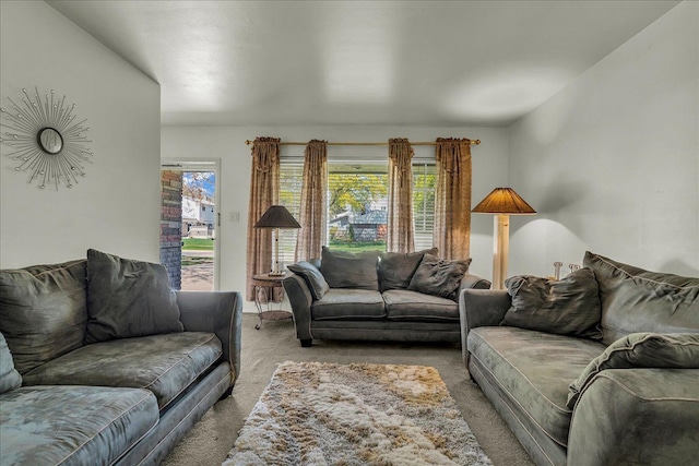 carpeted living room with a healthy amount of sunlight