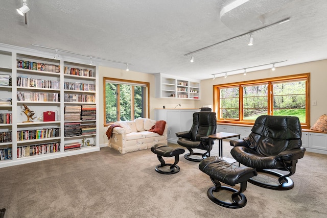 sitting room with a textured ceiling, track lighting, and carpet