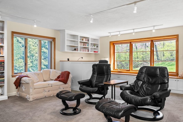 carpeted living room featuring rail lighting