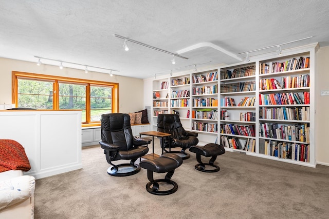 sitting room featuring carpet, rail lighting, and a textured ceiling