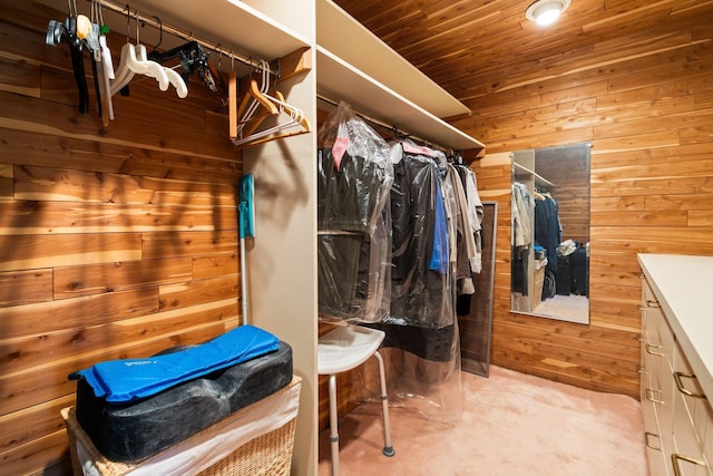 spacious closet with carpet floors