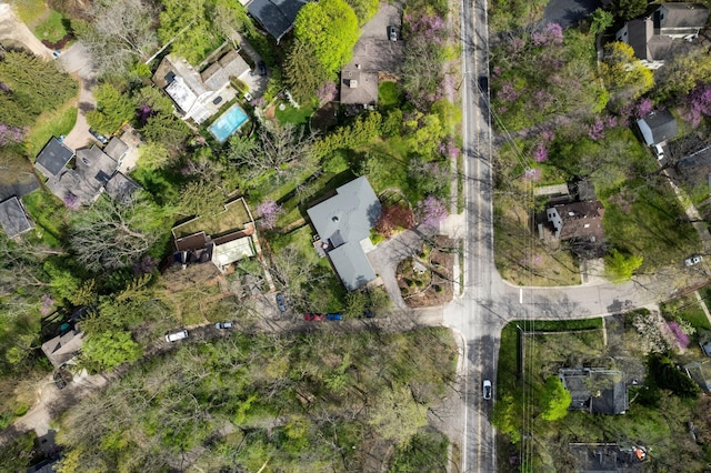 drone / aerial view