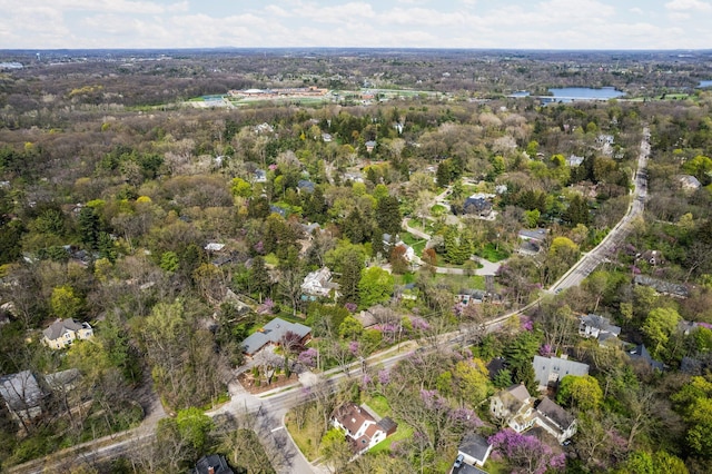 bird's eye view