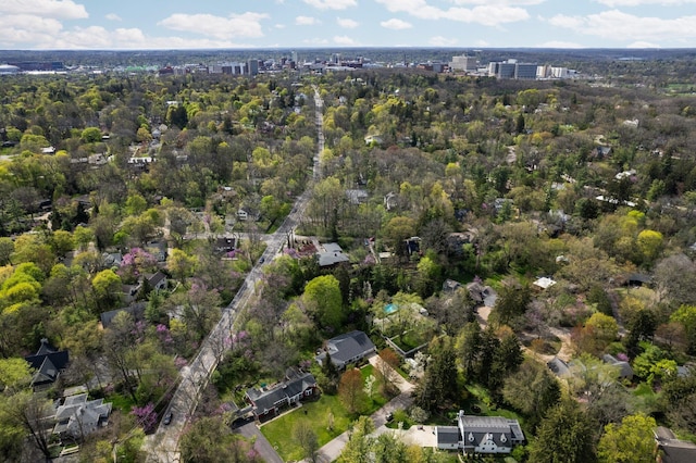 bird's eye view
