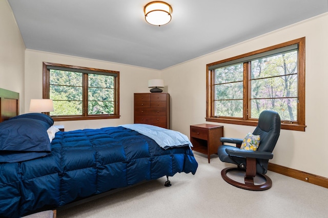 bedroom featuring baseboards and carpet