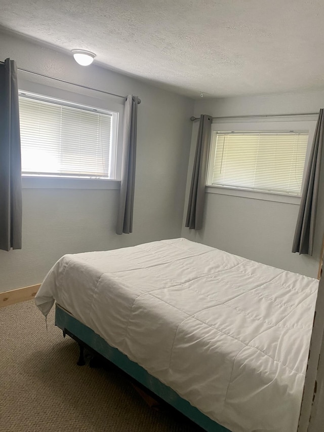 307 N Court St, Stanton, MI 48888 - carpeted bedroom with a textured ceiling