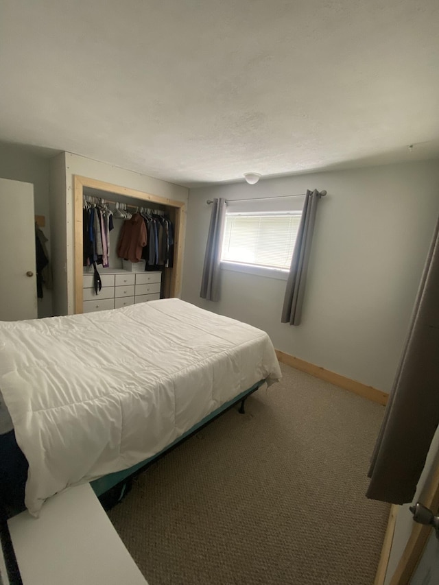 307 N Court St, Stanton, MI 48888 - bedroom featuring carpet floors and a closet
