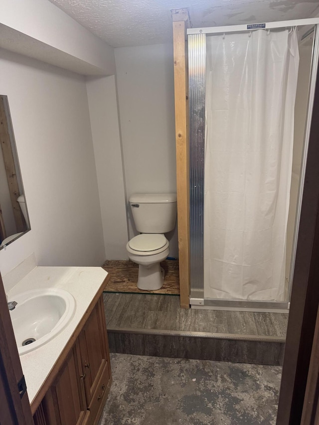 307 N Court St, Stanton, MI 48888 - bathroom with vanity, toilet, and curtained shower