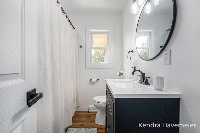 bathroom featuring vanity, toilet, and wood finished floors