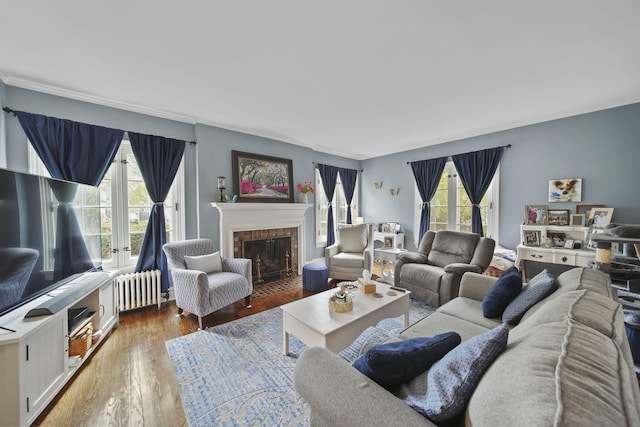 206 S Webster St, Jackson, MI 49203 - living room featuring a fireplace with flush hearth, radiator, and light wood-type flooring
