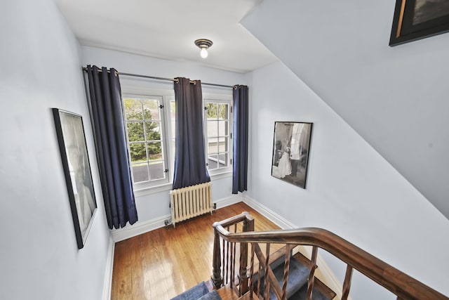 206 S Webster St, Jackson, MI 49203 - additional living space with baseboards, radiator heating unit, and wood finished floors