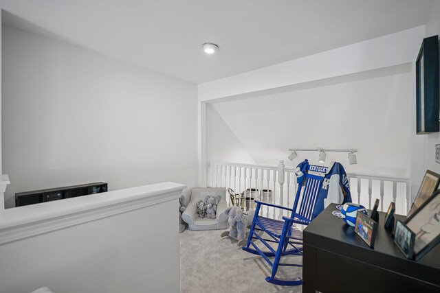 bedroom with carpet floors