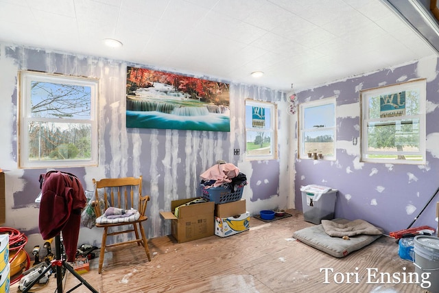 miscellaneous room with plenty of natural light and wood finished floors